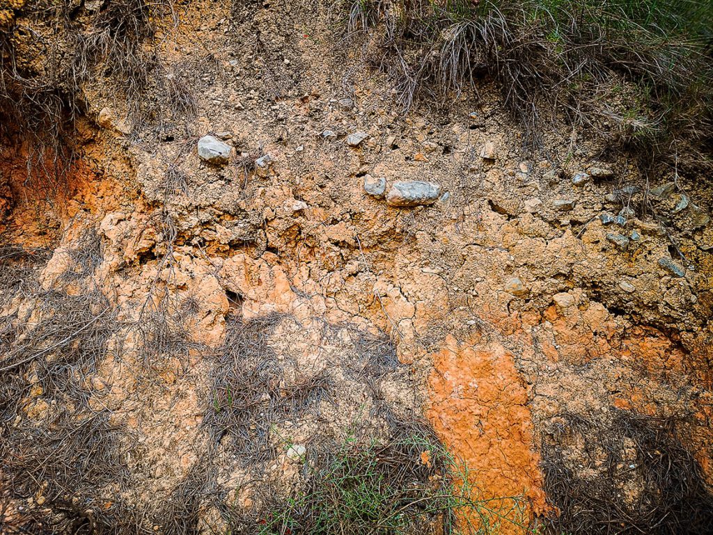 Domaine de La Madelène