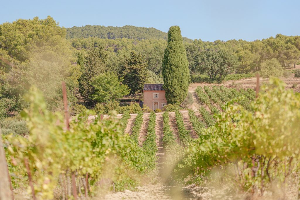 Domaine de La Madelène, le domaine, la petite maison du vigneron